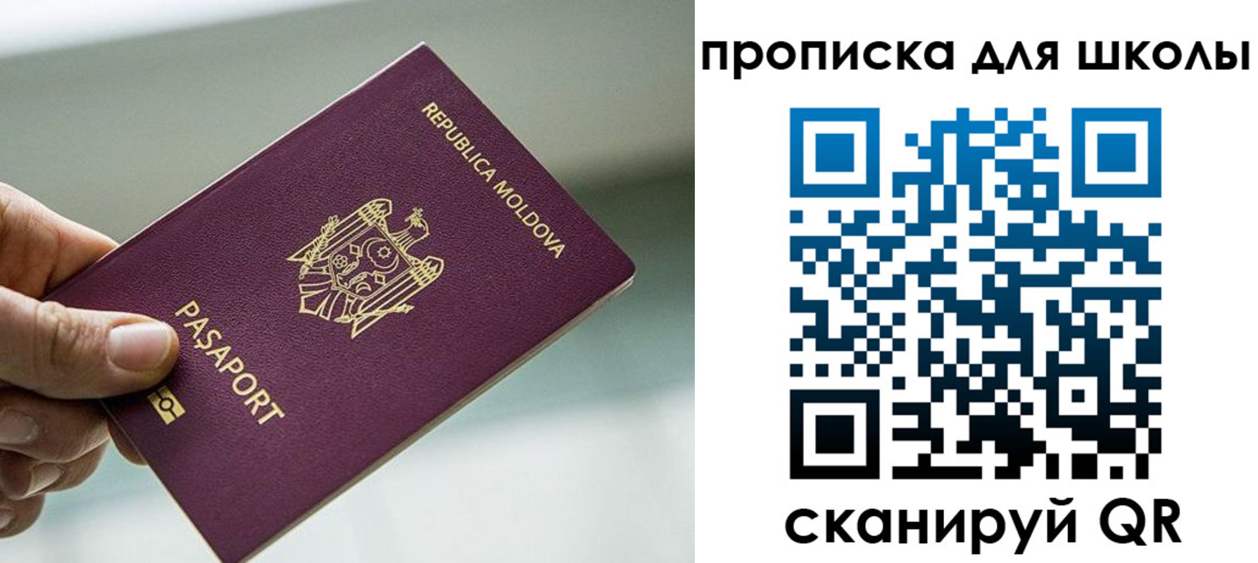 прописка в квартире в Жукове